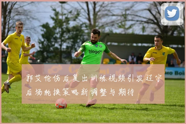 郭艾伦伤后复出训练视频引发辽宁后场轮换策略新调整与期待