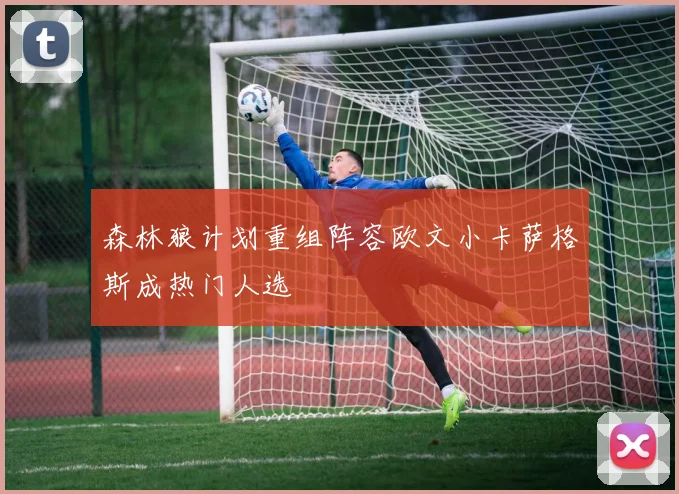 森林狼计划重组阵容欧文小卡萨格斯成热门人选