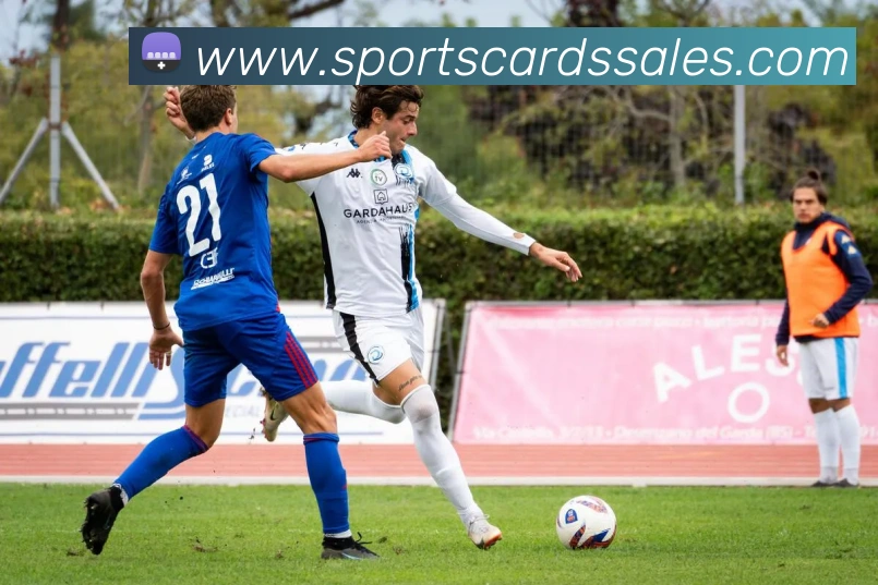 孙颖莎亚锦赛连胜之路反手技术提升助力夺冠成就